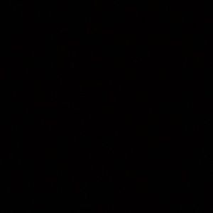 Meet your Posher, Shamonica